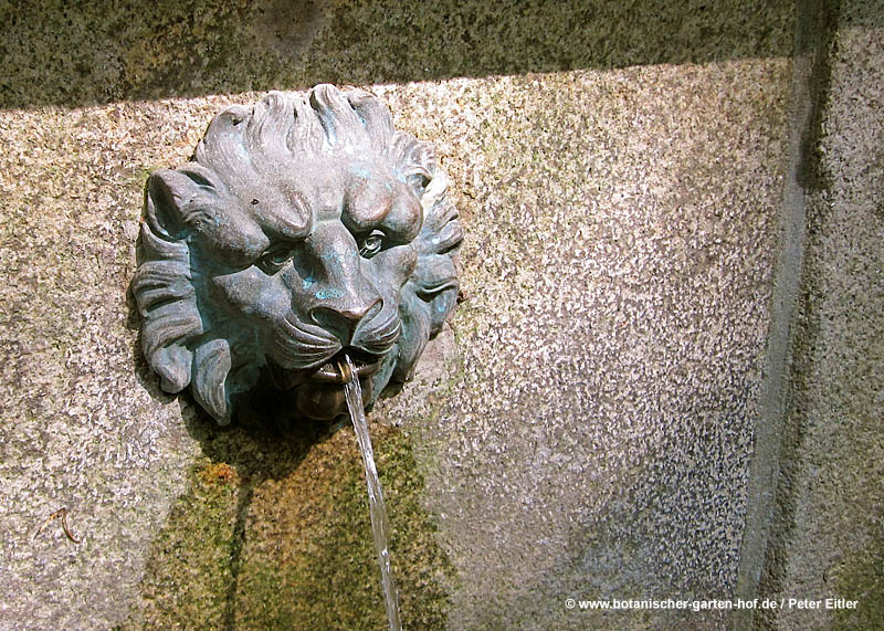 Löwenkopf Brunnen