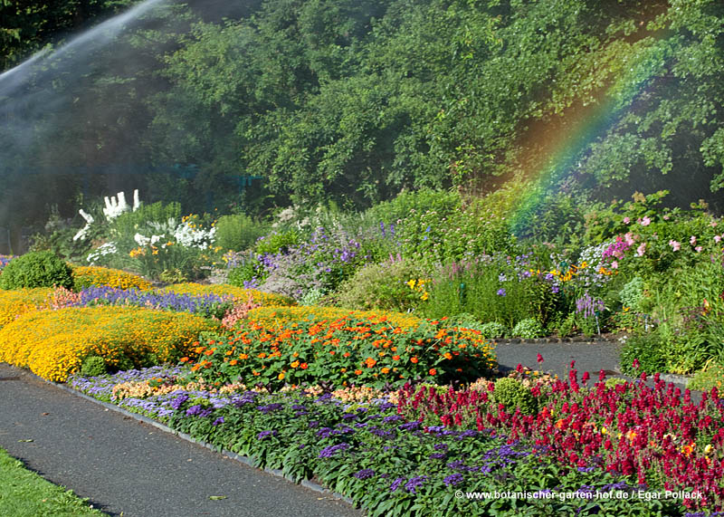 Sprenkleranlage mit Blumenbeet und Regenbogen