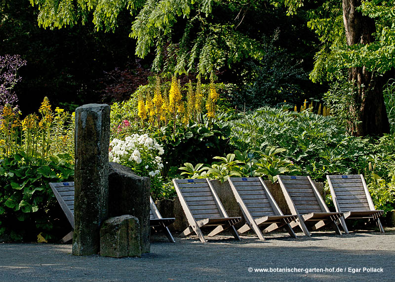 Verweilen und Entspannen im Botanischen Garten Hof 